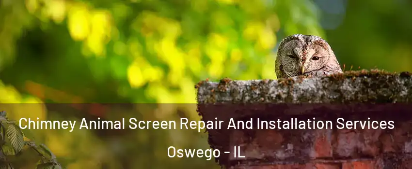  Chimney Animal Screen Repair And Installation Services Oswego - IL
