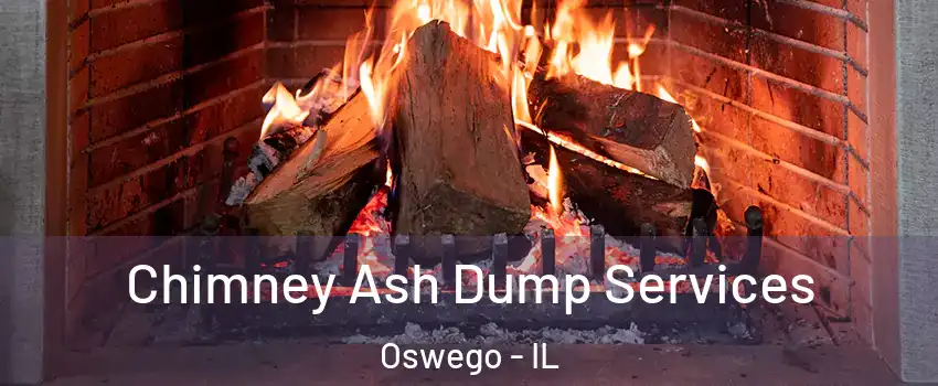  Chimney Ash Dump Services Oswego - IL