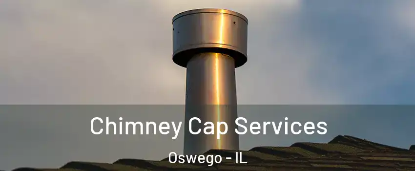  Chimney Cap Services Oswego - IL