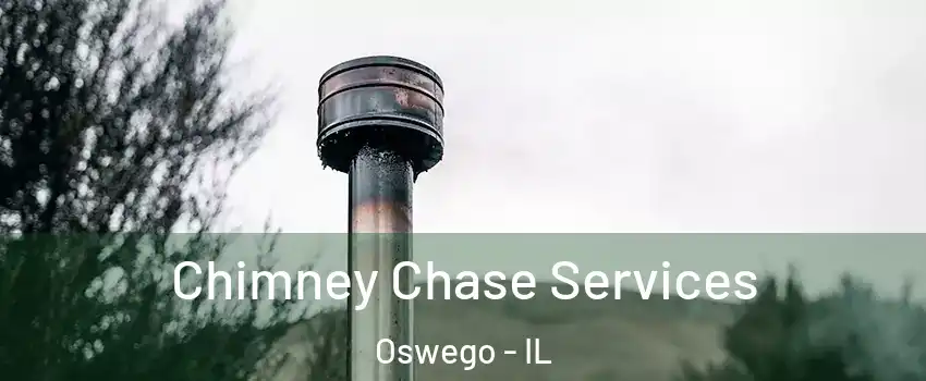  Chimney Chase Services Oswego - IL