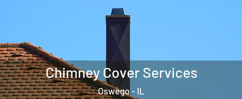  Chimney Cover Services Oswego - IL