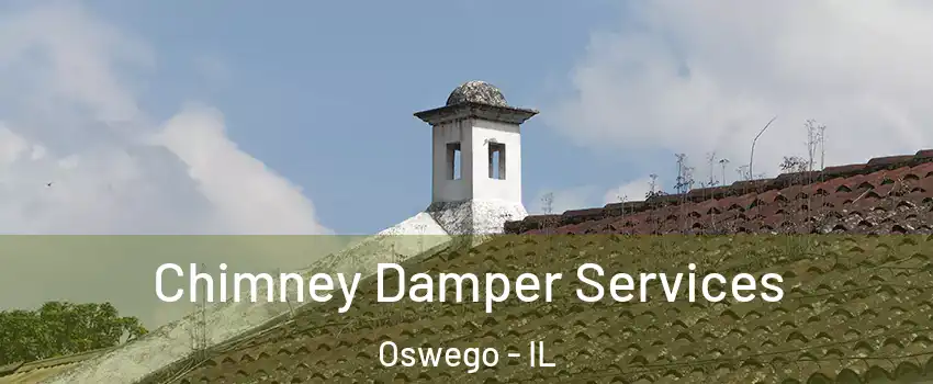  Chimney Damper Services Oswego - IL