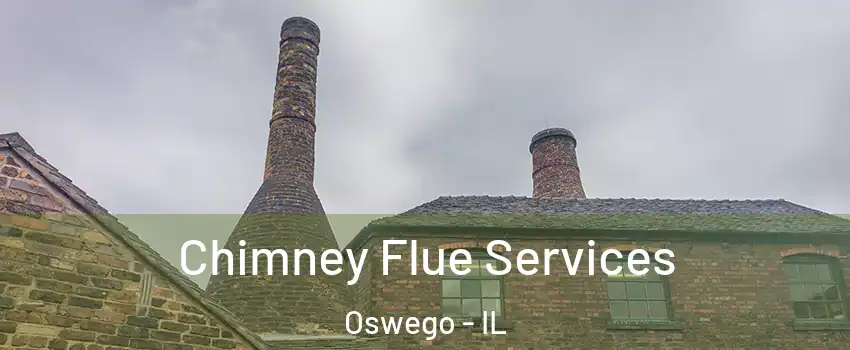  Chimney Flue Services Oswego - IL