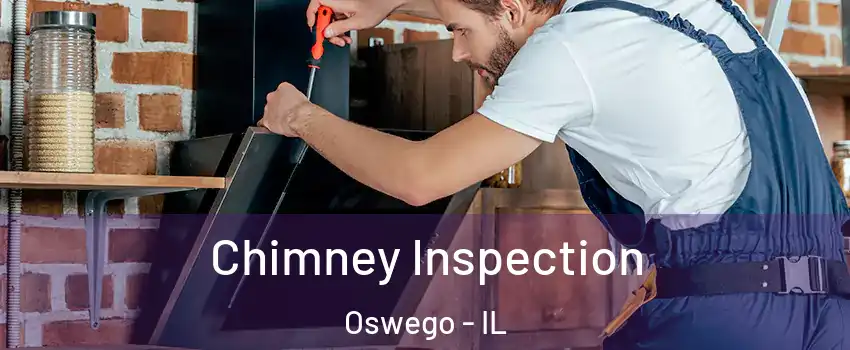  Chimney Inspection Oswego - IL