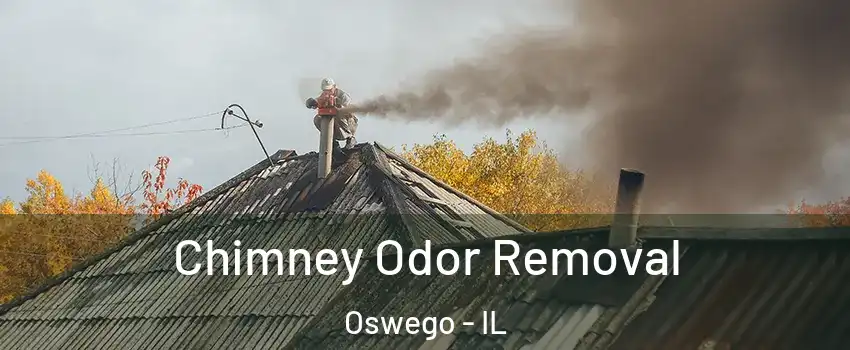  Chimney Odor Removal Oswego - IL