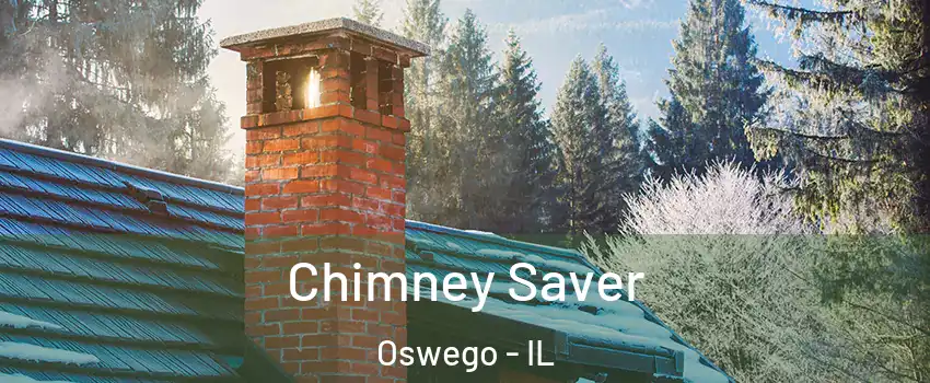  Chimney Saver Oswego - IL