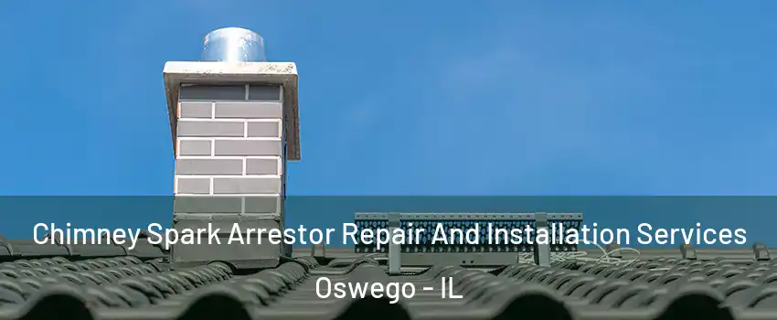  Chimney Spark Arrestor Repair And Installation Services Oswego - IL
