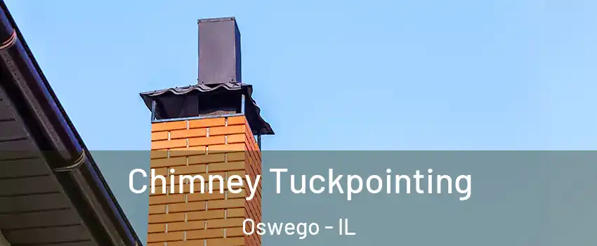  Chimney Tuckpointing Oswego - IL