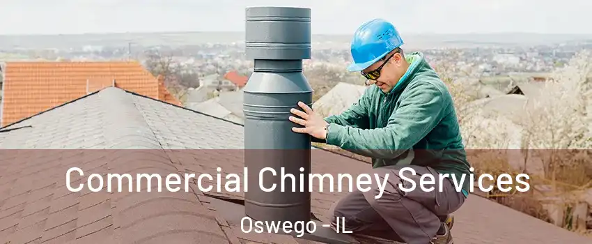  Commercial Chimney Services Oswego - IL