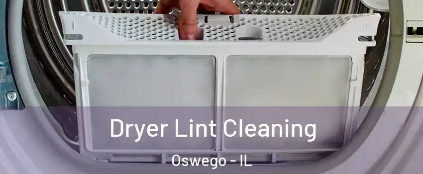  Dryer Lint Cleaning Oswego - IL