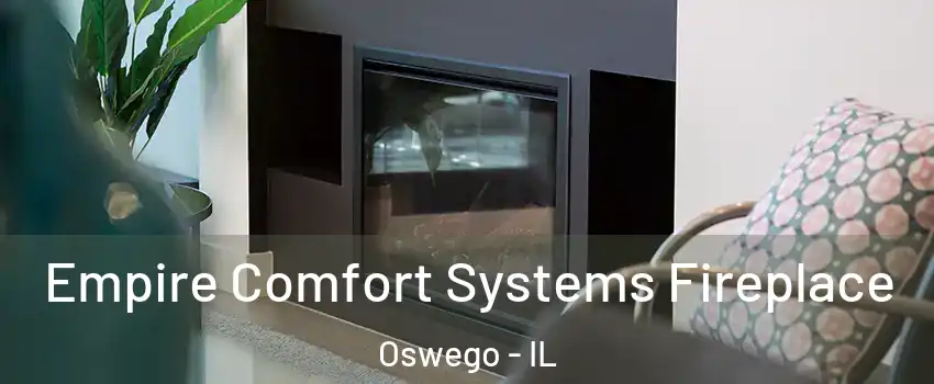  Empire Comfort Systems Fireplace Oswego - IL