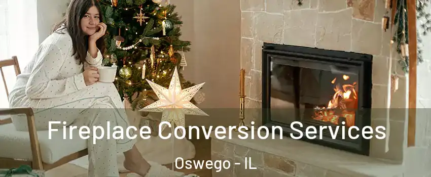  Fireplace Conversion Services Oswego - IL