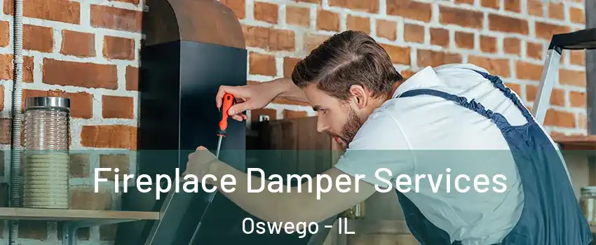  Fireplace Damper Services Oswego - IL