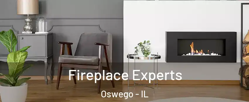  Fireplace Experts Oswego - IL