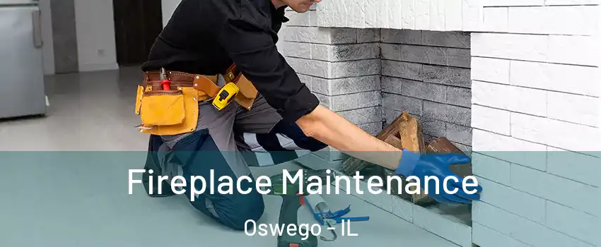  Fireplace Maintenance Oswego - IL
