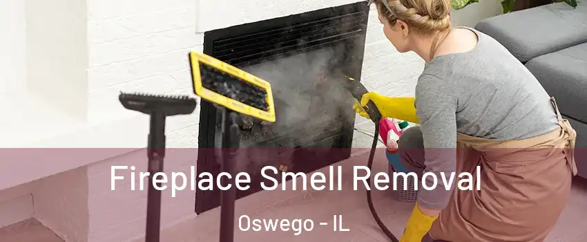  Fireplace Smell Removal Oswego - IL