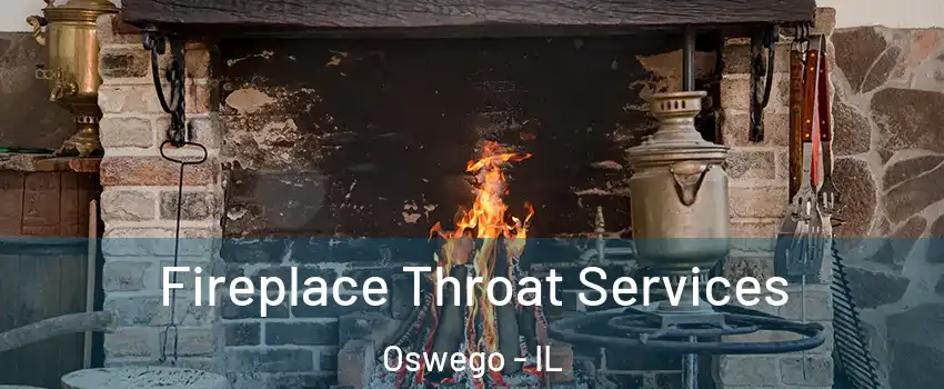  Fireplace Throat Services Oswego - IL
