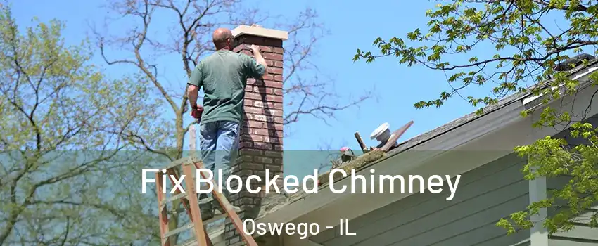  Fix Blocked Chimney Oswego - IL