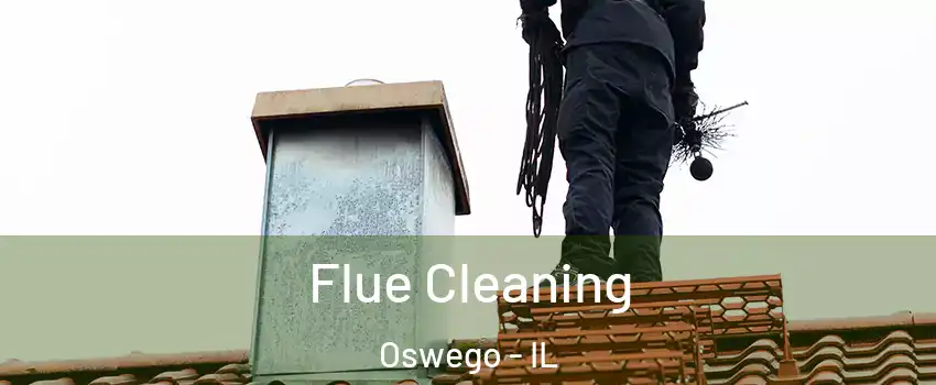  Flue Cleaning Oswego - IL