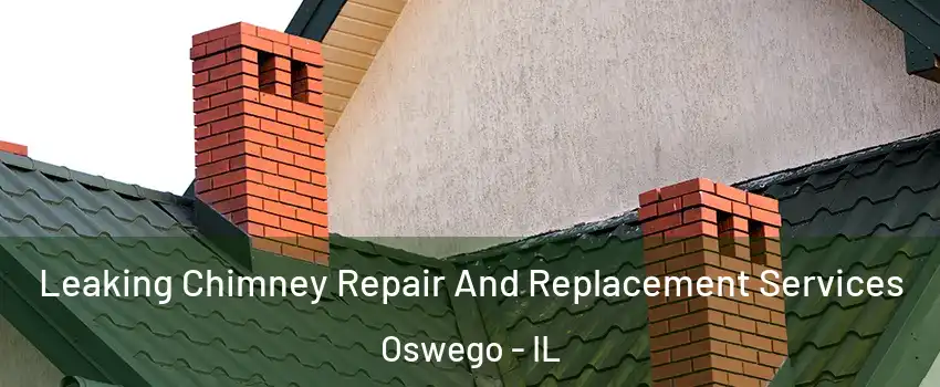  Leaking Chimney Repair And Replacement Services Oswego - IL