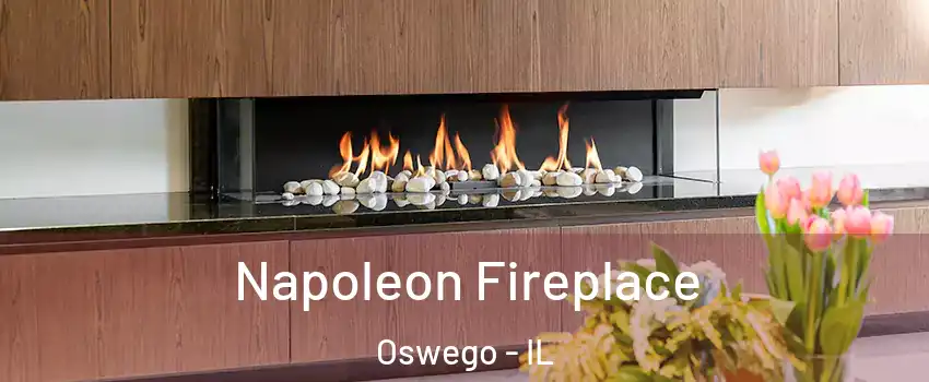  Napoleon Fireplace Oswego - IL