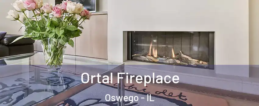  Ortal Fireplace Oswego - IL